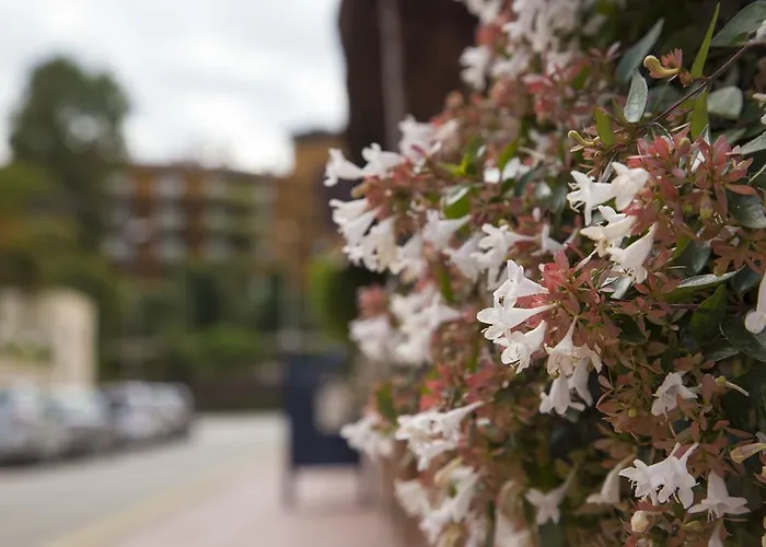 Апартаменты Eldorado *